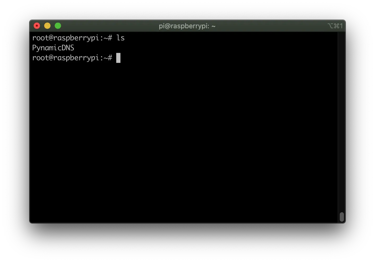 PynamicDNS Directory In Root Home