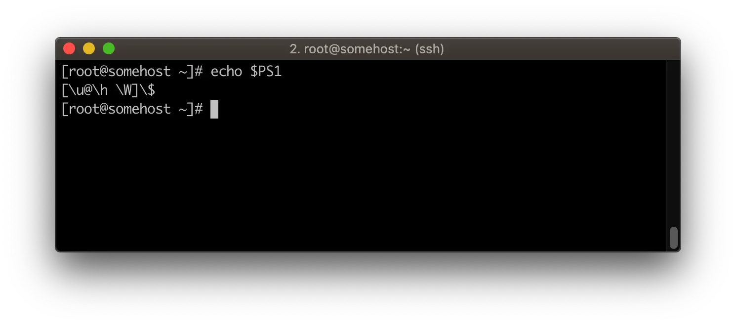 bash prompt echoing PS1 variable