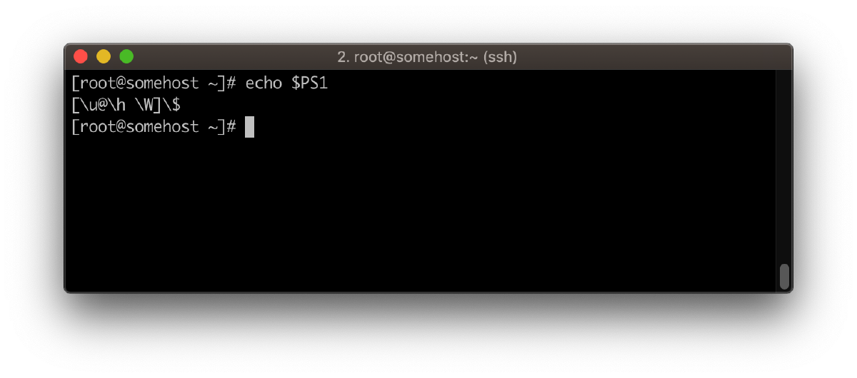 bash prompt echoing PS1 variable