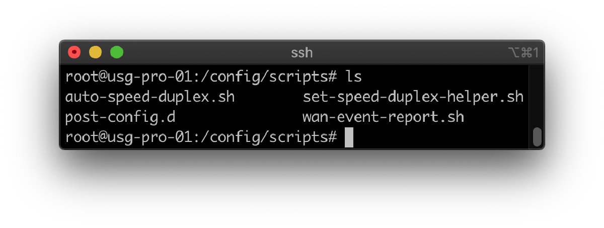 USG persistent directory before scripts